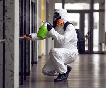 Commercial_Mold_Page_Resize.jpg