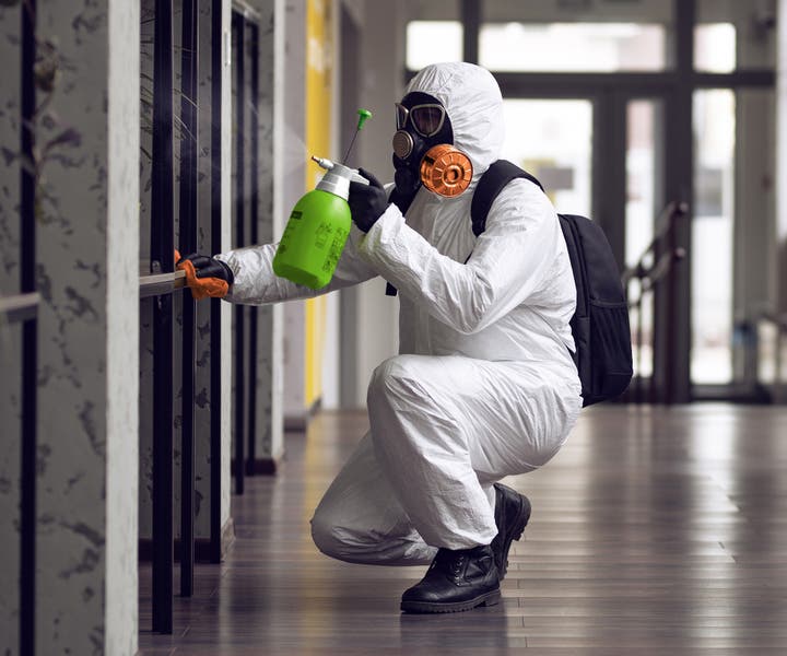 Mold Removal vs. Remediation
