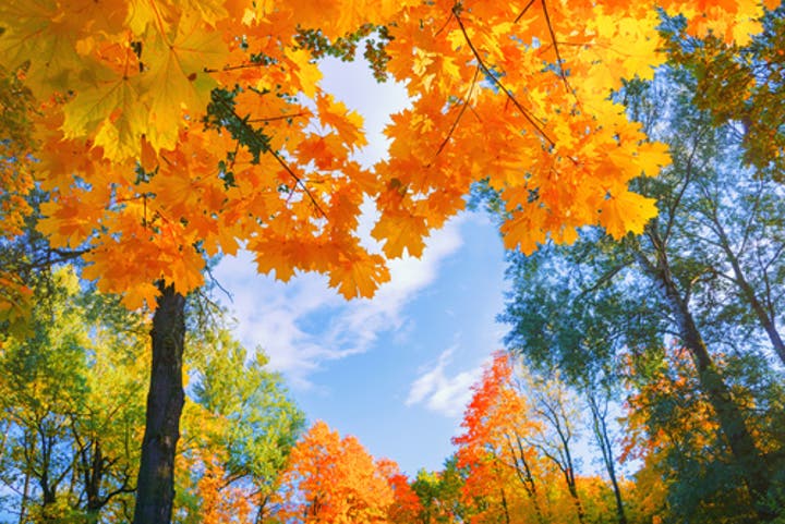 Common Weather Events During the Fall Season
