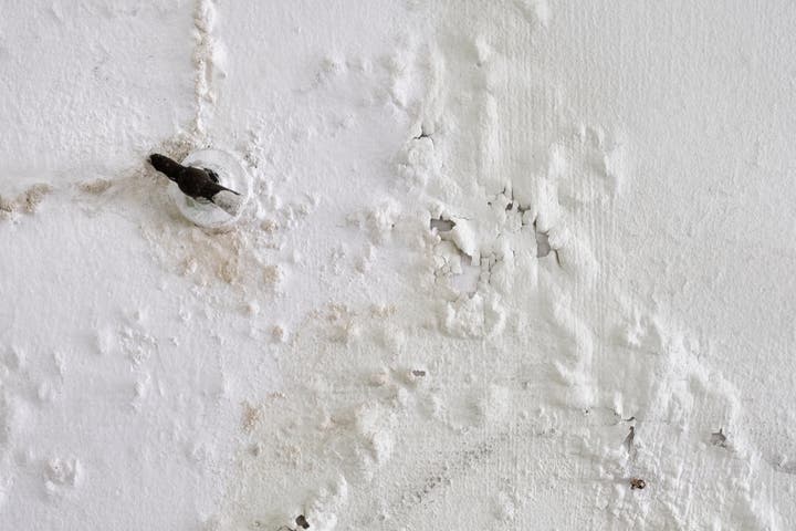 What Does Water Damage Look Like? The Signs of Water Damage